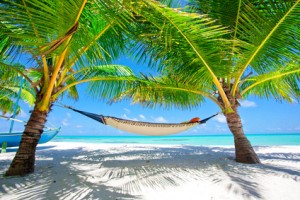Die Seychellen laden zum ausgelassenen Entspannungsurlaub ein