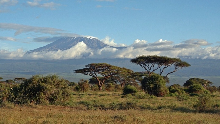 Der Artkel berichtet über das Erklimmen des Kilimanjaros.